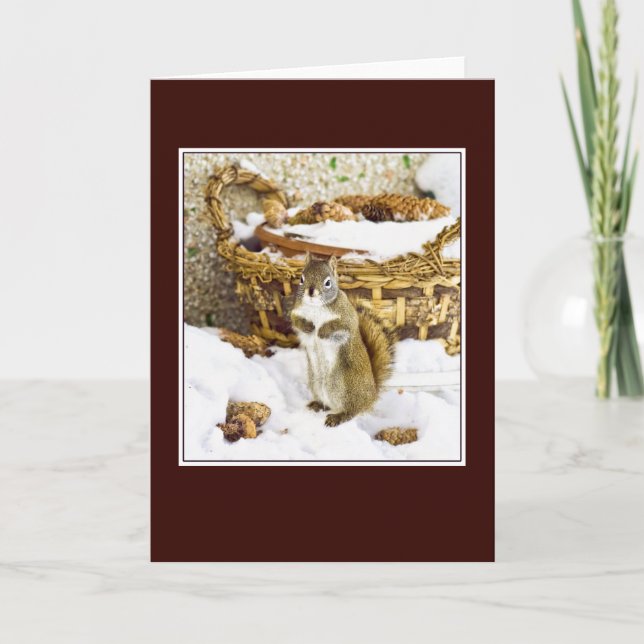 Cartão De Festividades Squirrel with pinecones - greeting card (Frente)