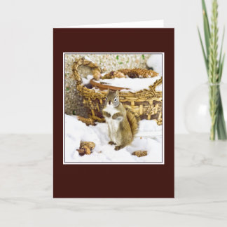 Cartão De Festividades Squirrel with pinecones - greeting card