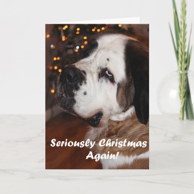 Cartão De Festividades St Bernard Christmas greeting card (Frente)
