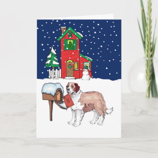 Cartão De Festividades St Bernard Christmas Mail