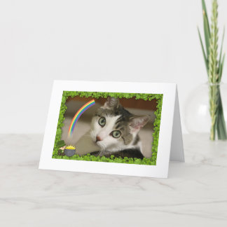 Cartão De Festividades St. Patrick's Day Gracey