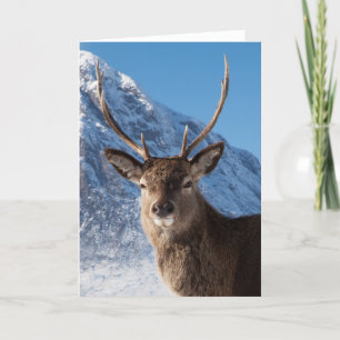 Cartão De Festividades Stag