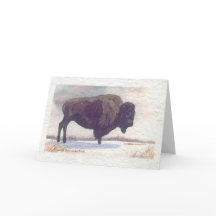 Stands Alone Buffalo Painting