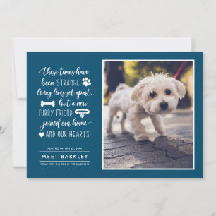 Cartão De Festividades Strange Times New Pet Photo Announcement   Blue