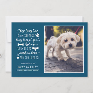 Cartão De Festividades Strange Times New Pet Photo Announcement | Blue