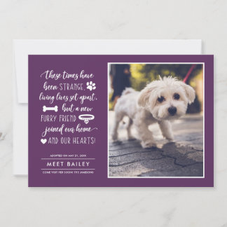 Cartão De Festividades Strange Times New Pet Photo Announcement | Plum