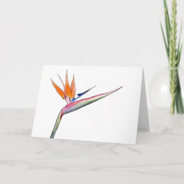 Cartão De Festividades Strelitzia Card