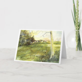 Cartão De Festividades Sturbridge Village Sheep