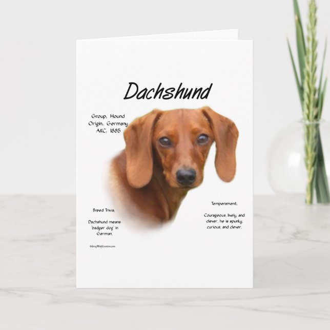 Cartão De Festividades Suave Dachshund Encontra a Raça (Frente)