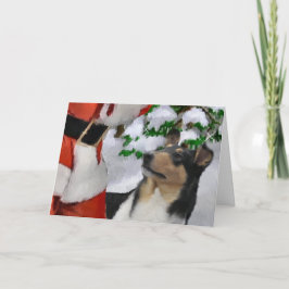 Cartão De Festividades Suave presentes de Natal Collie