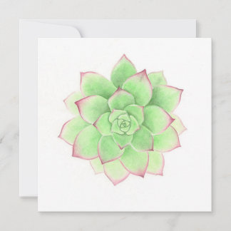 Cartão De Festividades Succulent - Arte original de Meghann Russell