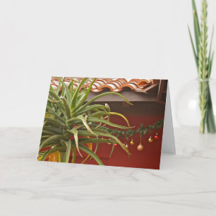 Cartão De Festividades Succulent garden greeting card: Happy Aloedays!