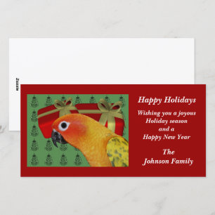 Cartão De Festividades Sun Conure Parrot Animal Christmas Holiday Card
