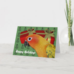 Cartão De Festividades Sun Conure Parrot Christmas Holiday Card