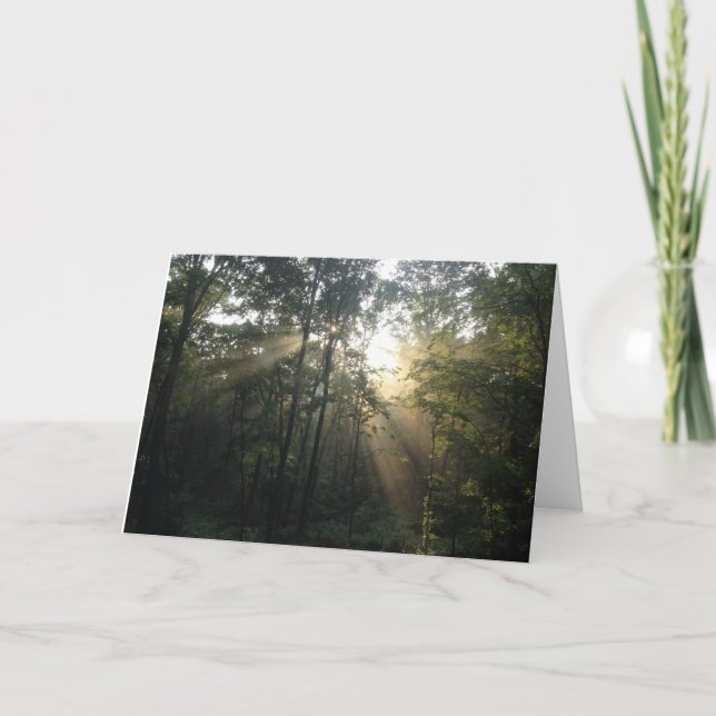 Cartão De Festividades Sunburst in the Trees All Occasion Card (Blank) (Frente)