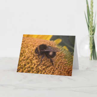 Cartão De Festividades Sunflower Bumblebee