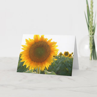 Cartão De Festividades Sunflower heart card (blank)