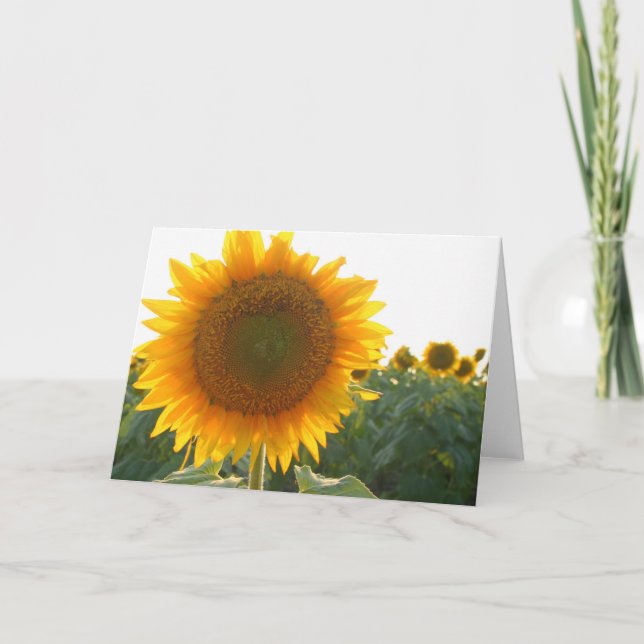 Cartão De Festividades Sunflower heart card (blank) (Frente)
