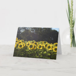 Cartão De Festividades Sunflowers In France