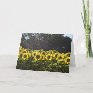 Cartão De Festividades Sunflowers In France