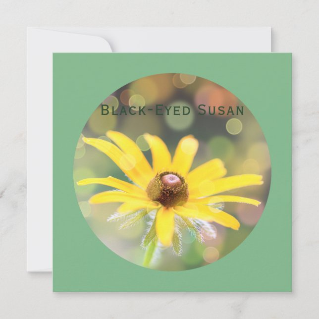 Cartão De Festividades Susan Flower de olhos negros em verde-escuro (Frente)