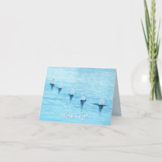 Cartão De Festividades Swans Engraçados O que há de novo no Vazio de Ocas