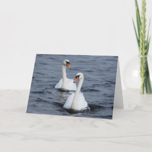 Cartão De Festividades Swans In Love