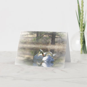 Cartão De Festividades Swans Merry Christmas Card