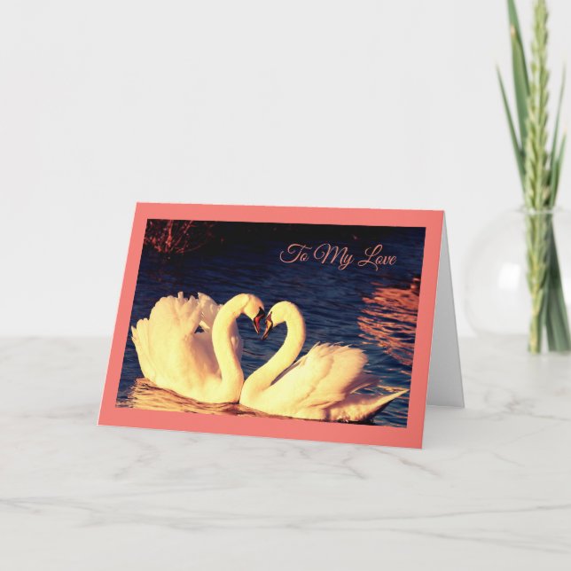 Cartão De Festividades Swans Valentine's Day Card (Frente)