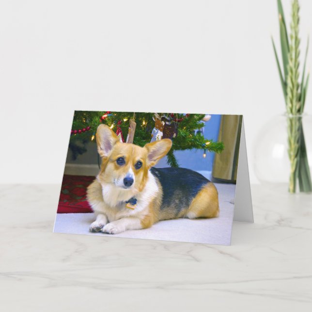 Cartão De Festividades Sweet Christmas Corgi (Frente)