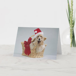 Cartão De Festividades Sweet Customizable Pet Themed Xmas Gifts/Cards
