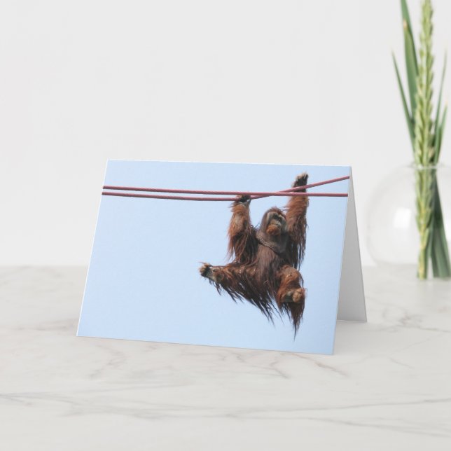 Cartão De Festividades Swing In The New Year (Frente)