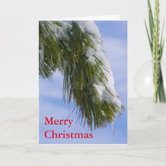 Cartão De Festividades Swowy bough with icicles