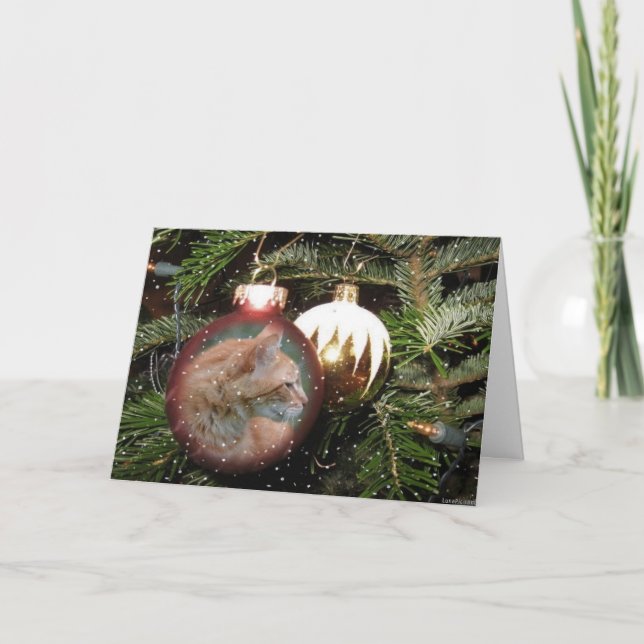 Cartão De Festividades Tabby Cat Ball Greeting Card (Frente)