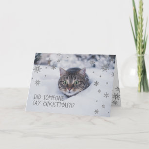 Cartão De Festividades Tabby Cat em Flocos de Neve Brancos
