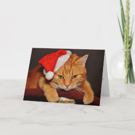 Cartão De Festividades Tabby Cat Laranja num Chapéu Santa