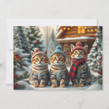 Tabby Cats in Preppy Winter Attire and Hat Winter