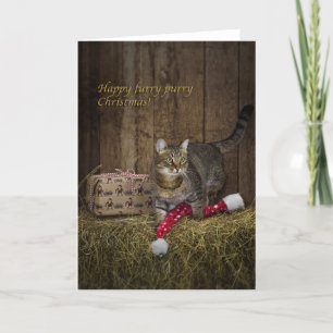 Cartão De Festividades Tabby Christmas card