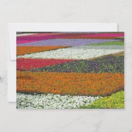 Cartão De Festividades Tapete de Flores