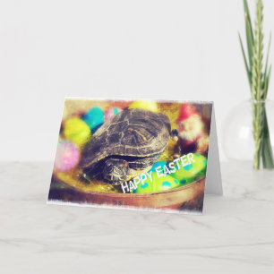 Cartão De Festividades Tartaruga páscoa