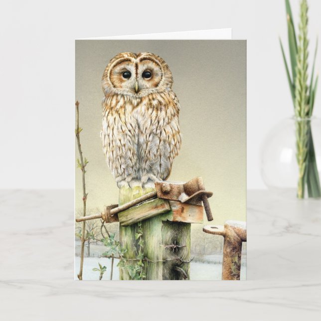 Cartão De Festividades Tawny Owl in the snow fine art card (Frente)