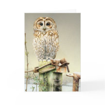 Tawny Owl in the snow fine art card