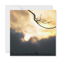 Telefone do Sol de inverno