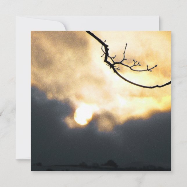 Cartão De Festividades Telefone do Sol de inverno (Frente)