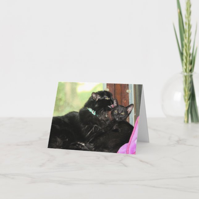 Cartão De Festividades Tempo de banho (Frente)