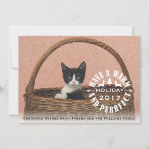 Cartão De Festividades Tenha um gato de Natal quente e puro
