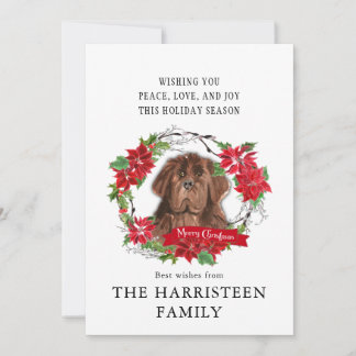 Cartão De Festividades Terra Nova - Castanho-d-água - Poinsettia Natal