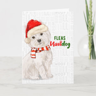 Cartão De Festividades Terra Ocidental Natal Terrier Fleas NaviDOG
