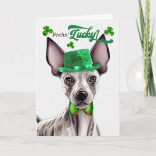 Cartão De Festividades Terrier Sem Cabelo Se Sentindo Sortudo no Dia de S
