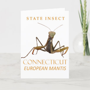 Cartão De Festividades Território de Connecticut Inseto O Louva-a-Deus Eu